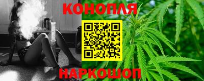 сатива Бузулук