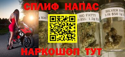 сатива Бузулук