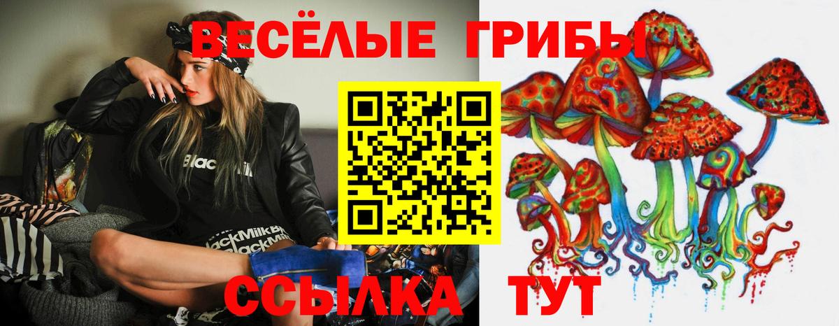 Галлюциногенные грибы Cubensis  Псилоцибиновые грибы Psilocybe  Северодвинск  Вход с VPN 